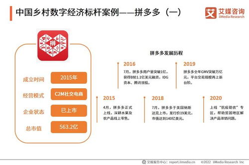 2022年中國鄉(xiāng)村數(shù)字經(jīng)濟(jì)發(fā)展專題研究報告